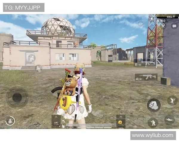 esports数据探索和平精英中的FPX技术奥秘与创新应用解析